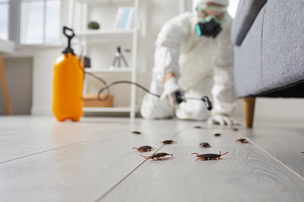 Post-Treatment Bed Bug Interceptor Monitoring in Mar-Mac